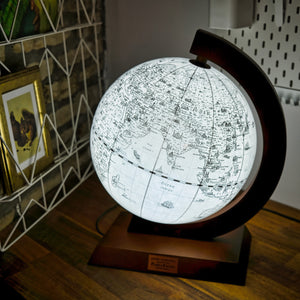 Globe terrestre en édition limitée - Pablo Raison